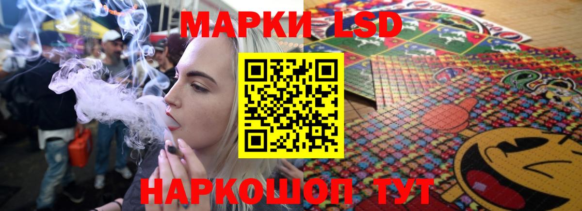 Меф Долгопрудный