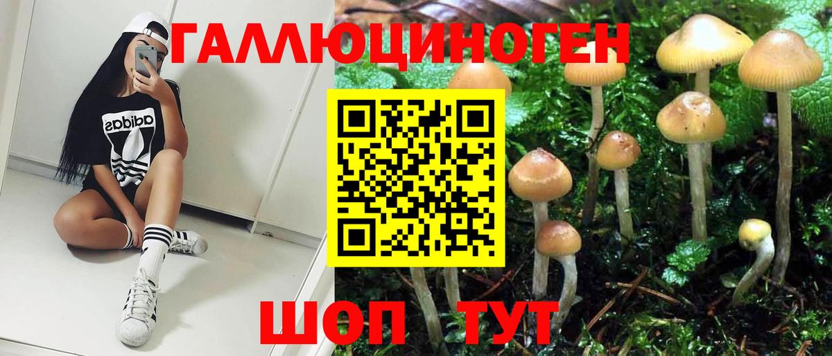 Псилоцибиновые грибы Cubensis  Вход с VPN  Долгопрудный 